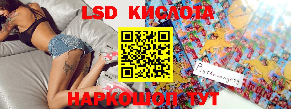 A PVP Обнинск