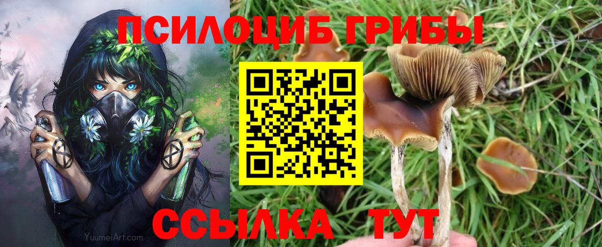Псилоцибиновые грибы мухоморы  Вход с VPN  Обнинск  Галлюциногенные грибы прущие грибы 